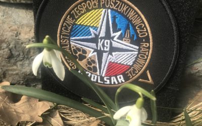 W OPOLSARZE już wiosna.