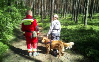 Szkolenia terenowe psów w Turawie – z lokalizacji oraz posłuszeństwa.