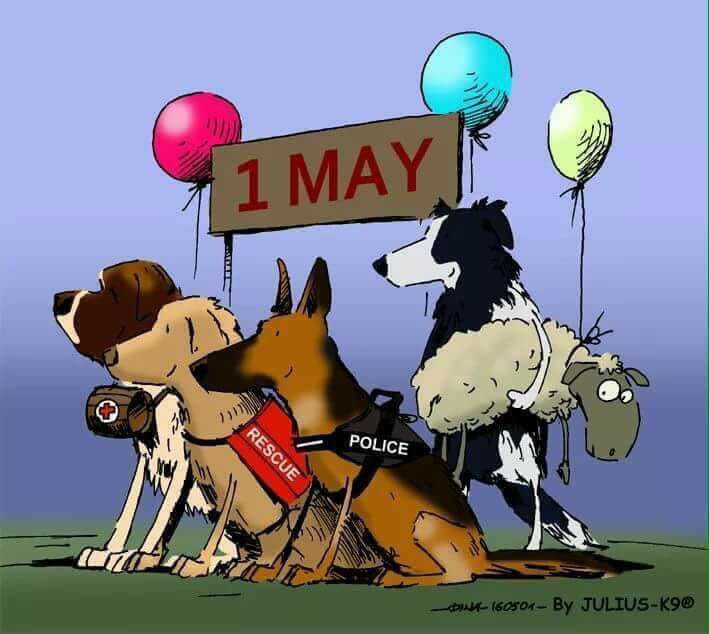 1 maja jako święto wszystkich psów pracujących