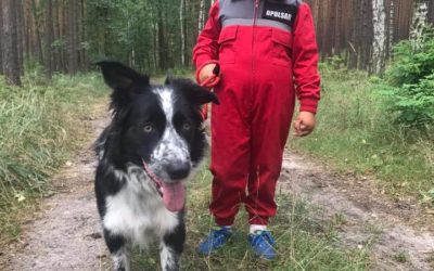 Szkolenie terenowe psów z udziałem dzieci
