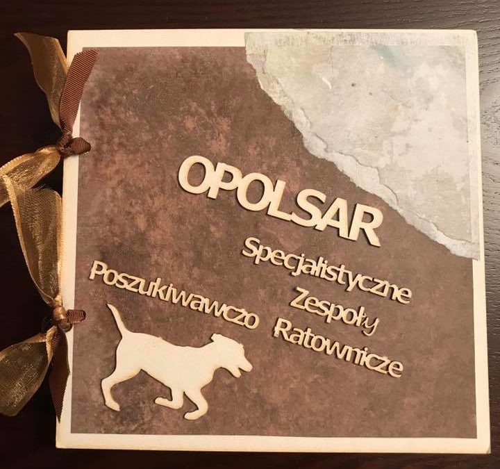 Spotkanie organizacyjno – integracyjne podsumowujące 8 miesięcy funkcjonowania Fundacji OPOLSAR.