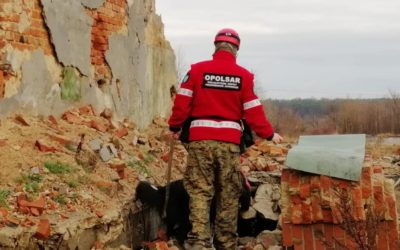 Przedświąteczne ćwiczenia gruzowiskowe