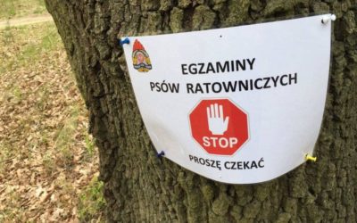Rozpoczyna się sesja egzaminacyjna PSP dla zespołów ratowniczych z psami