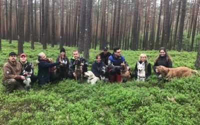 Międzynarodowy Dzień Psa Ratowniczego