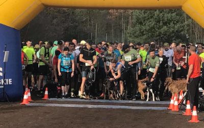 OPOLSAR organizatorem  Dogtrekkingu w ramach IV Biegu Tarnowskiego „Leśna Draka”