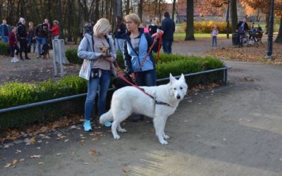 OPOLSAR na rodzinnym dogtrekkingu w Kluczborku