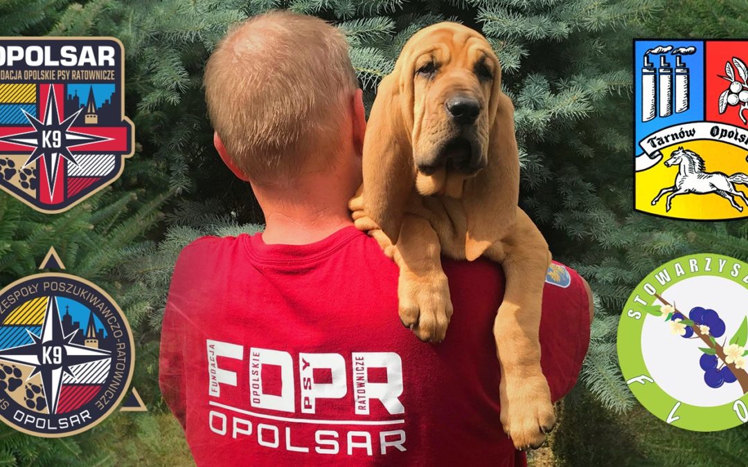 „FLOS – Bloodhound w służbie człowiekowi” – nowy fanpage poświęcony naszemu pierwszemu psu tropiącemu OPOLSARU