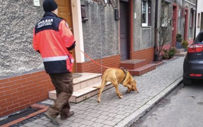 3-dniowe szkolenie zespołu tropiącego w Gliwicach.