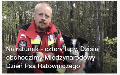 Prezes OPOLSARU rozmawiał    o psach ratowniczych z dziennikarzem Radia OPOLE.