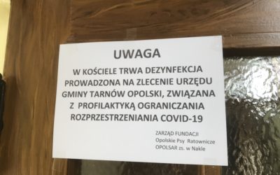 Podsumowujemy dotychczasowe działania OPOLSARU związane z COVID-19.