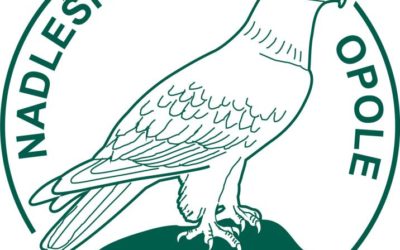 Przedłużenie umowy zezwalającej na szkolenie psów i zespołów ratowniczych na terenach będących w zarządzie PGL LP Nadleśnictwo Opole.