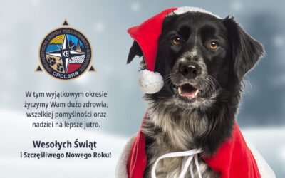 Wesołych Świąt i Szczęśliwego Nowego Roku.