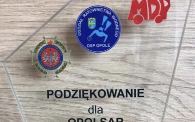 Uroczyste zakończenie obozu Młodzieżowej Drużyny Pożarniczej ORW Opole w Turawie.