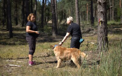 Szkolenie w Dąbrowie Górniczej – Last Person Behawior w pracy z psami ratowniczymi.