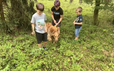 Szkoleniowo nasze psy szukały dzieci.