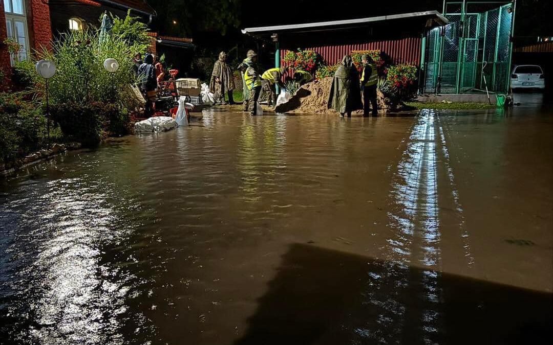 Ratowaliśmy psy z zalewanego wodą powodziową schroniska w Konradowej