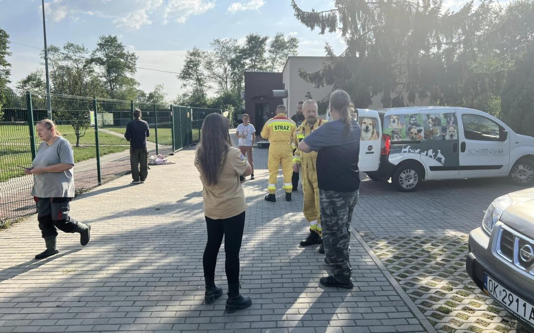 Wspieraliśmy przygotowania do ewakuacji schronisko w Kędzierzynie-Koźlu.