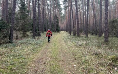 Rok zamykamy szkoleniem psów ratowniczych OPOLSARU i OSP JRS Nakło.