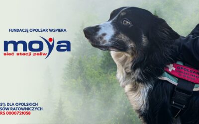Nawiązaliśmy współpracę partnerską z ANWIM S.A. – właścicielem sieci stacji paliw MOYA.