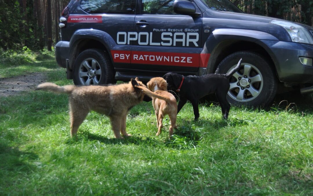 Kolejne szczeniaki w naszej opolsarowej rodzince.