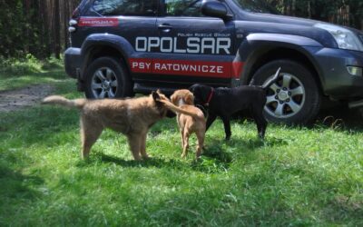 Kolejne szczeniaki w naszej opolsarowej rodzince.
