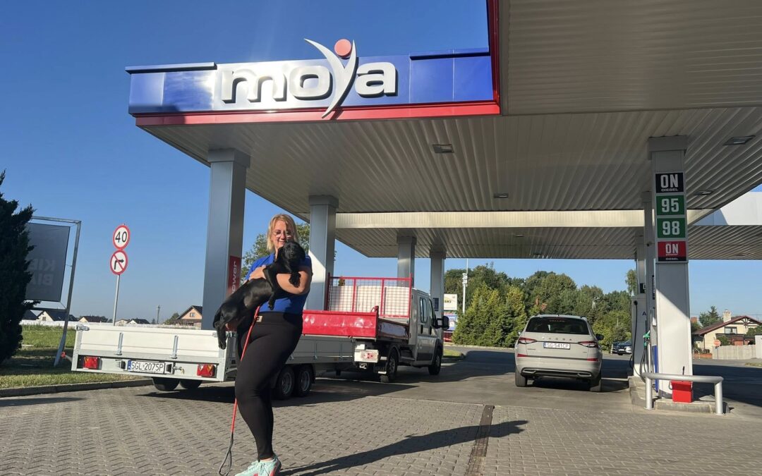 Z Moyą odwiedziliśmy stację paliw MOYA w Żernicy.