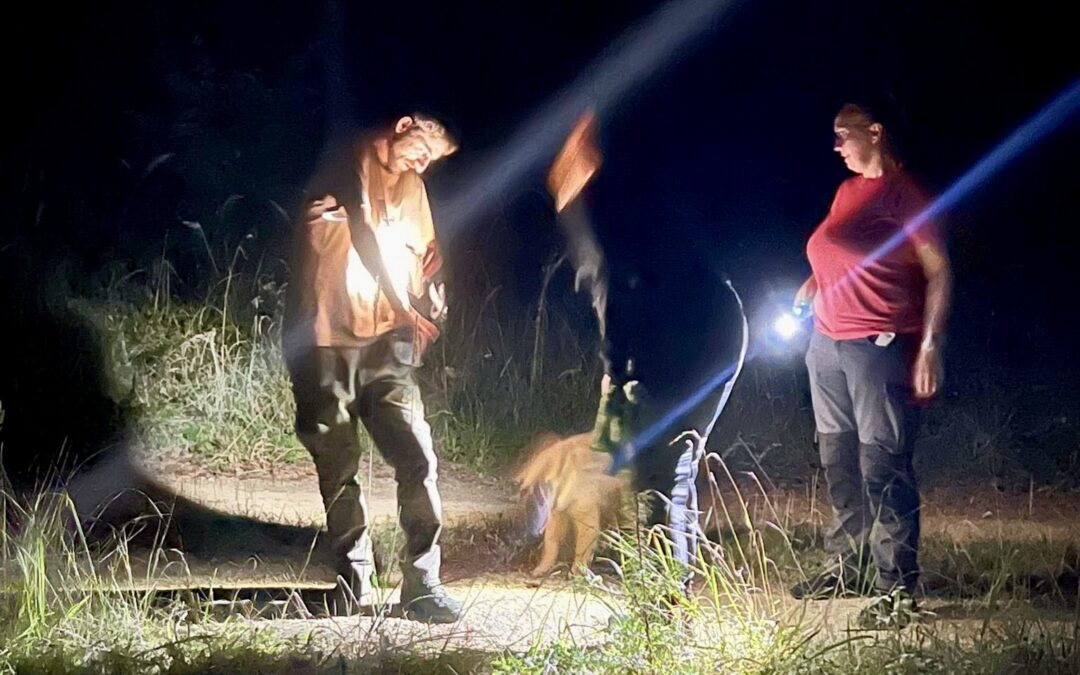 Nocne szkolenia SAR K9.