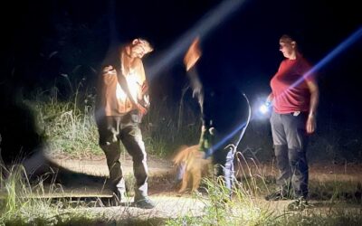 Nocne szkolenia SAR K9.