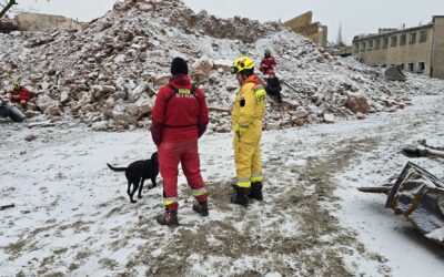 Świąteczne szkolenie psów gruzowiskowych.