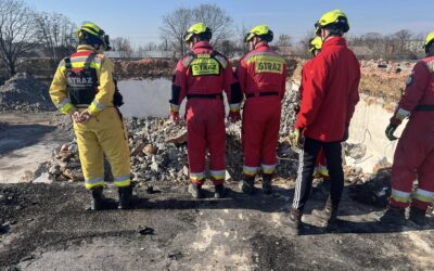 Trening psów gruzowiskowych w Opolu.