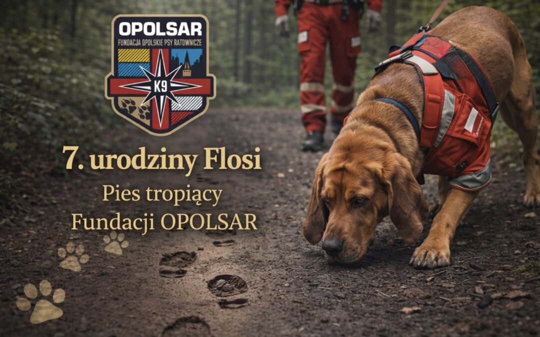 7. urodziny Flosi – naszego psa tropiącego.