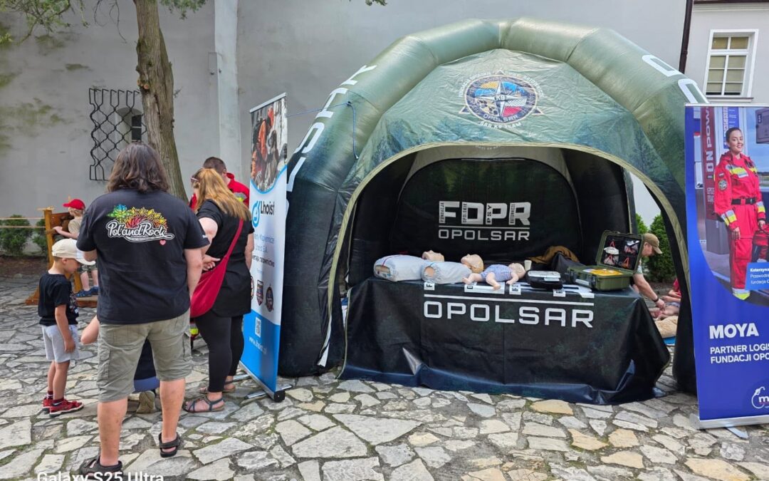 Rycerski Dzień Dziecka na zamku w Rogowie Opolskim.