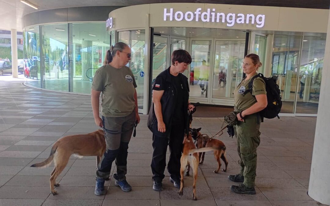 Ratownicy OPOLSARU szkolili się na „trupiej farmie” w Amsterdamie.