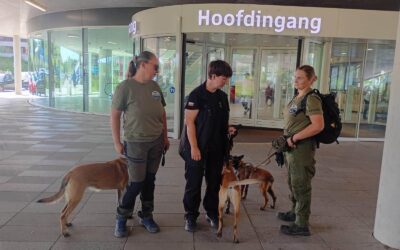 Ratownicy OPOLSARU szkolili się na „trupiej farmie” w Amsterdamie.