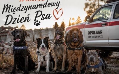 Dziś obchodzimy Międzynarodowy Dzień Psa.