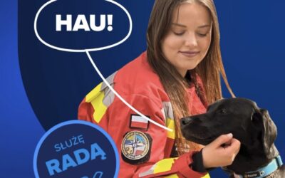 Podróżujesz z psem? Zrób to mądrze.