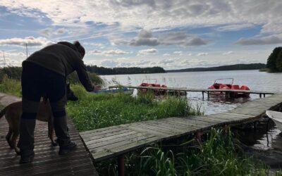TRZY OPOLSAROWE PSY Z CERTYFIKACJĄ ZWŁOKOWĄ HRD!