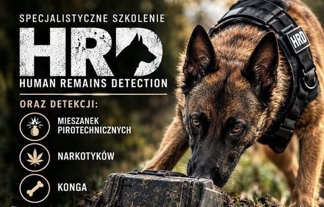 Zapraszamy na specjalistyczne szkolenie psów zwłokowych HRD.
