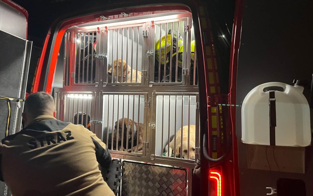 Szkolenie psów ratowniczych na poligonie wojskowym w Żaganiu.